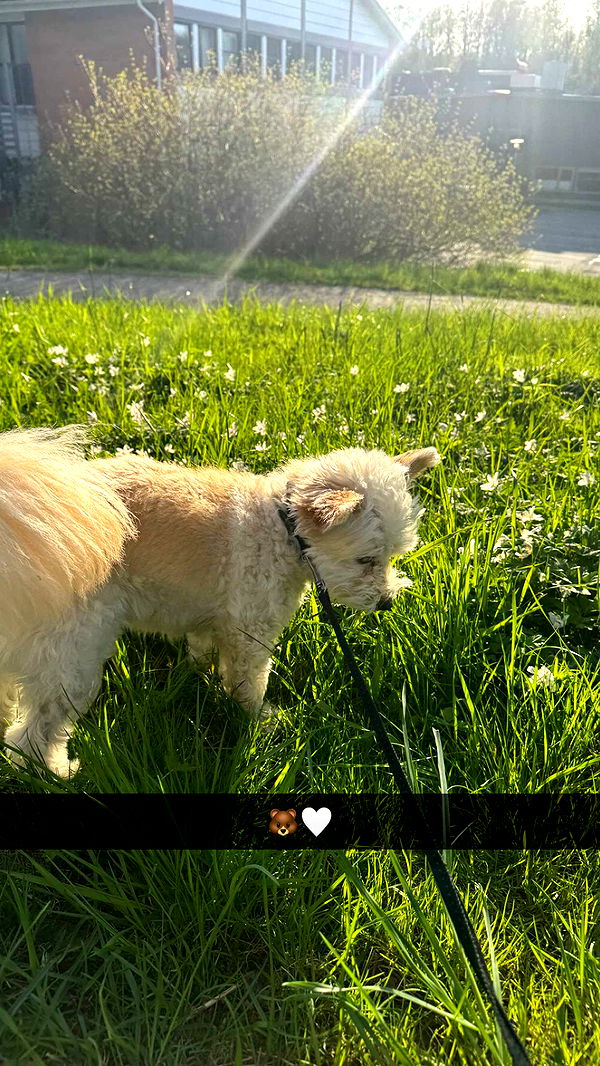 mathilda_bergs image ~ Altpins