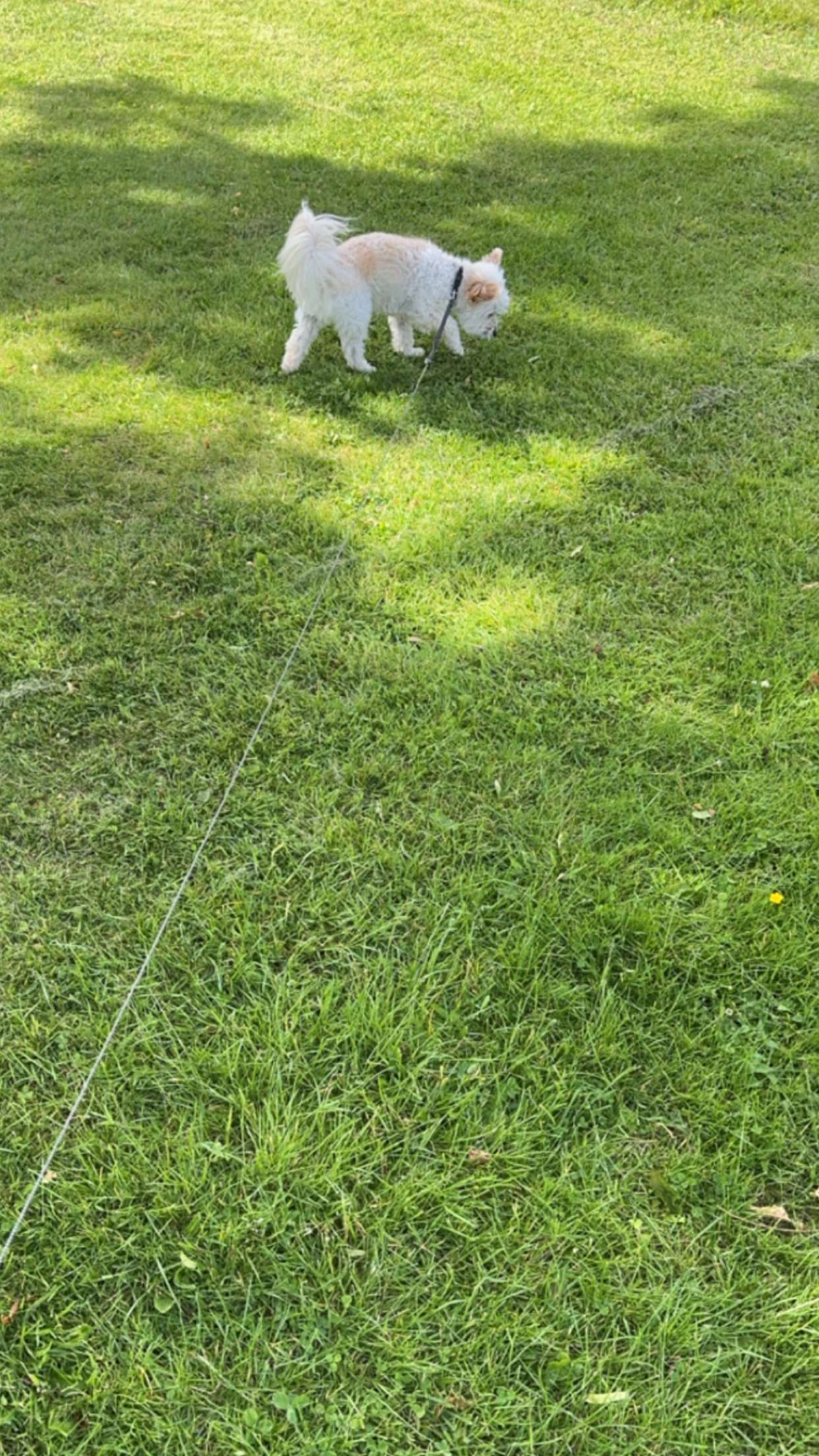 mathilda_bergs snapchat image archive image