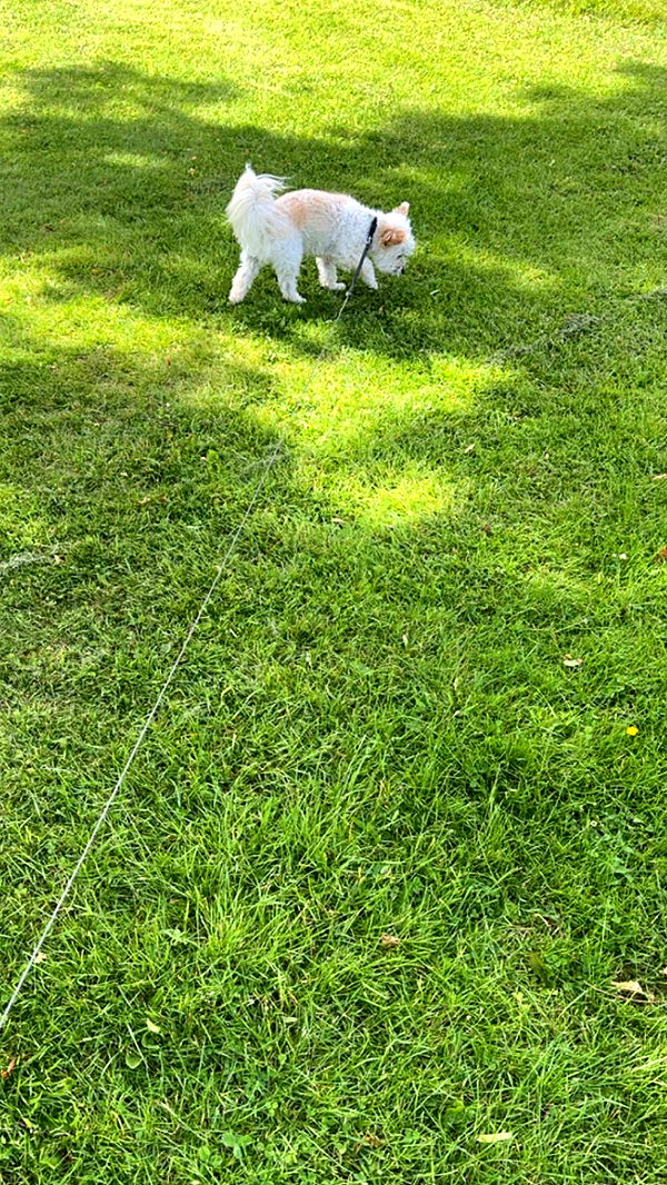 mathilda_bergs image ~ Altpins