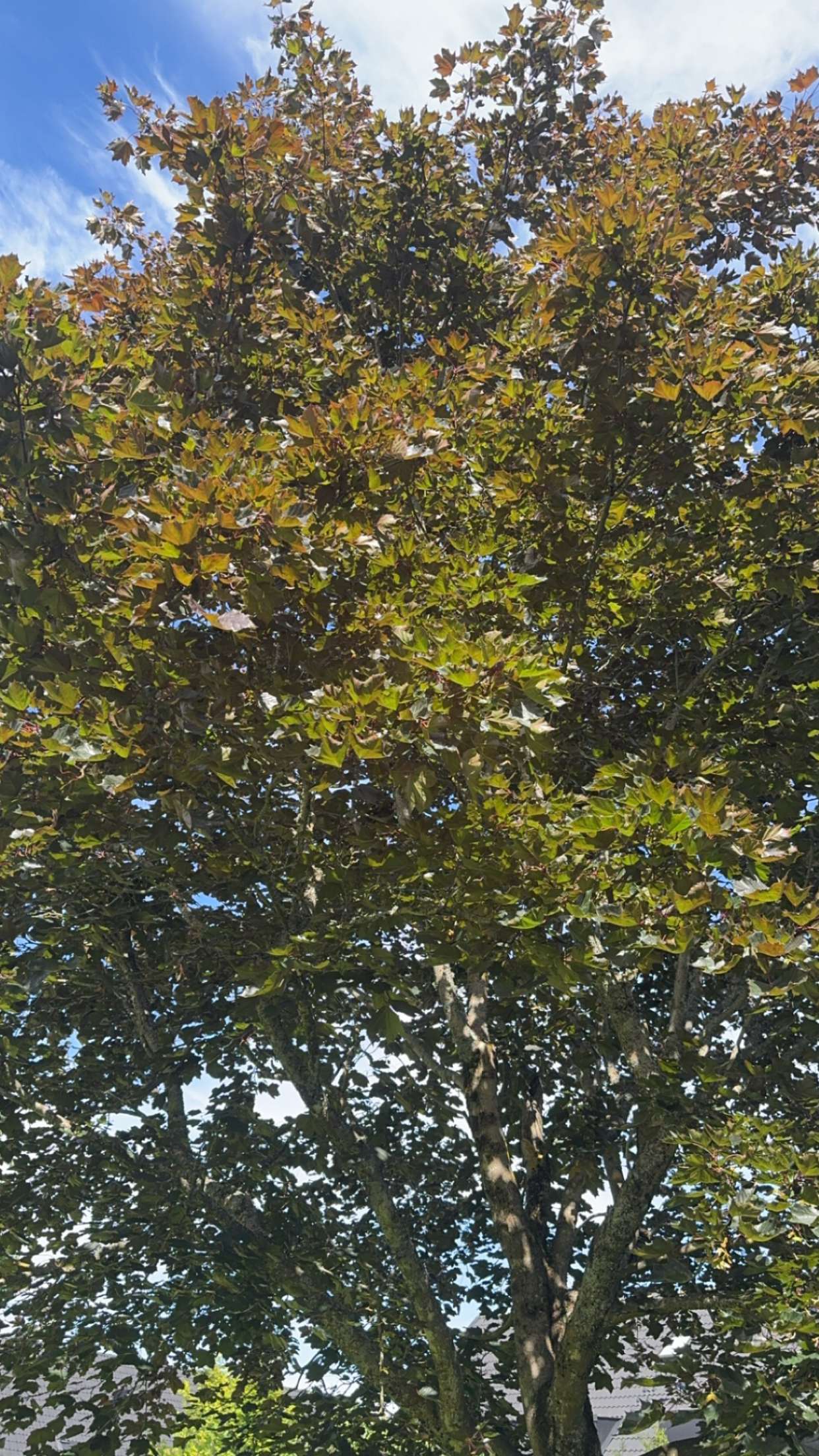 mathilda_bergs snapchat image archive image