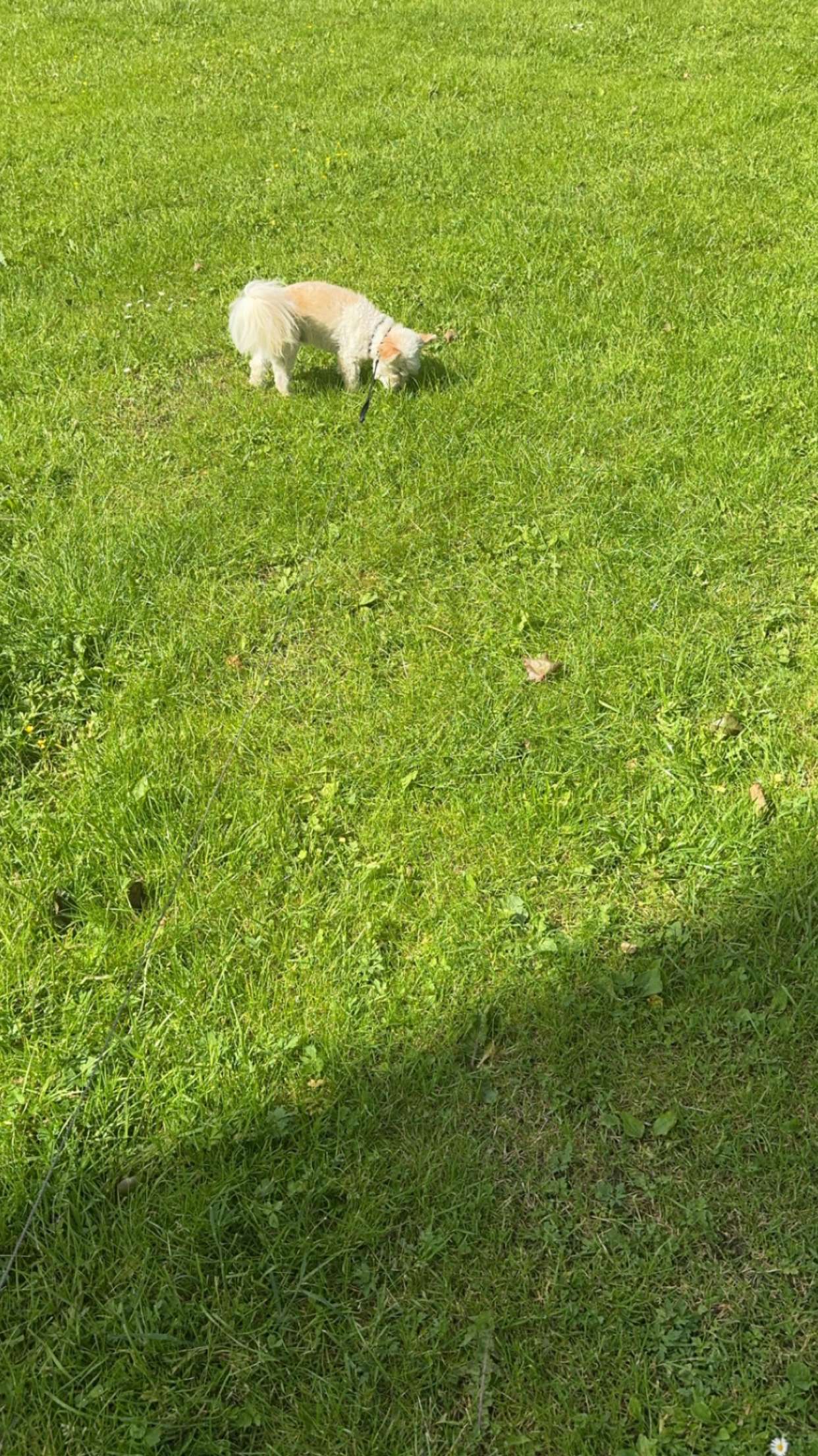 mathilda_bergs snapchat image archive image