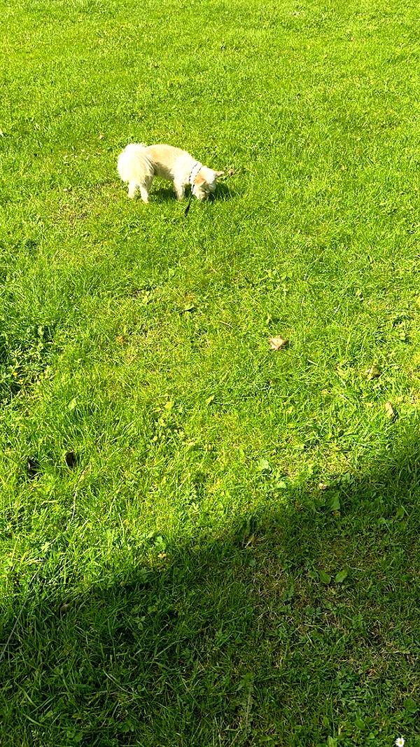 mathilda_bergs image ~ Altpins