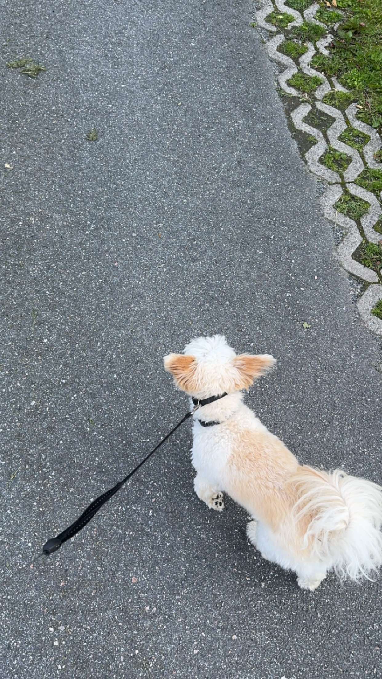 mathilda_bergs snapchat image archive image