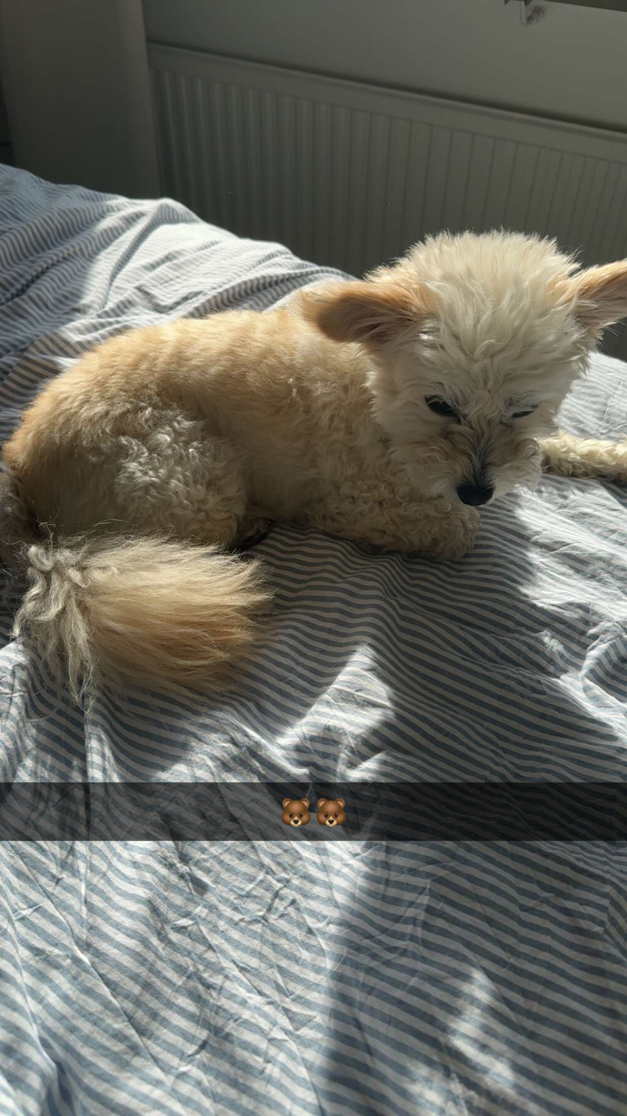 mathilda_bergs snapchat image archive image