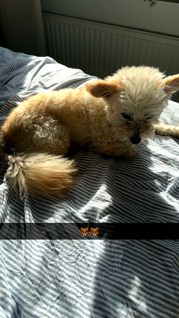 mathilda_bergs image ~ Altpins