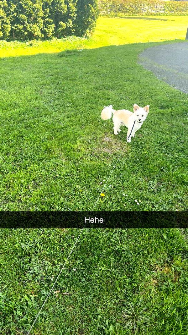 mathilda_bergs image ~ Altpins