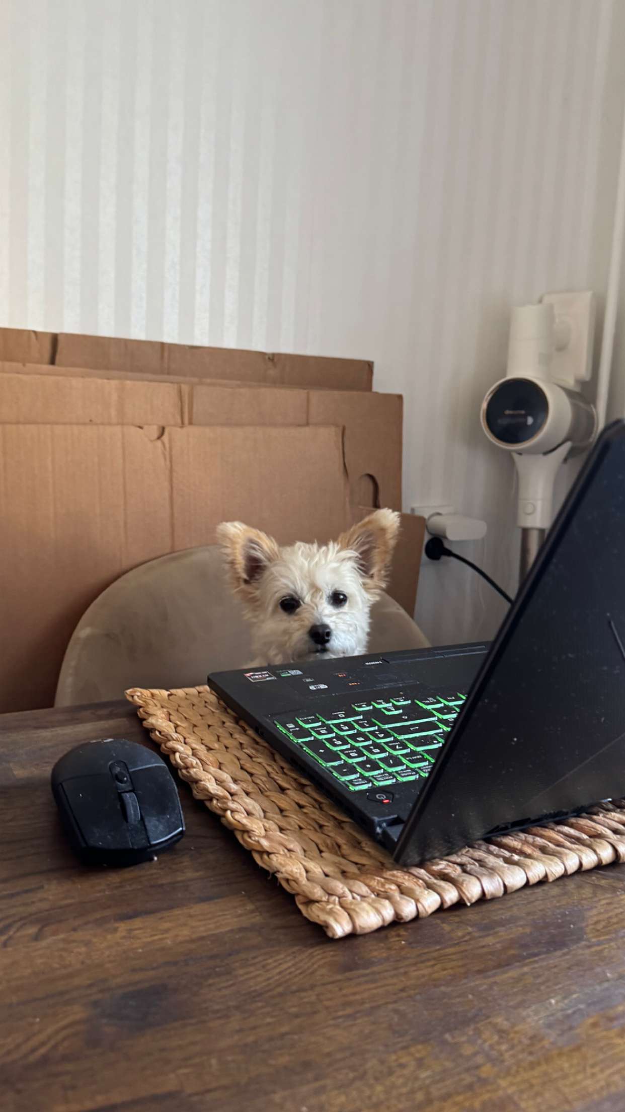 mathilda_bergs snapchat image archive image