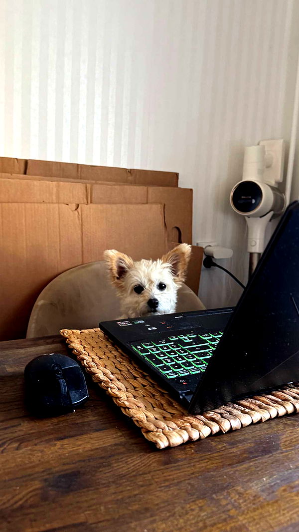 mathilda_bergs image ~ Altpins