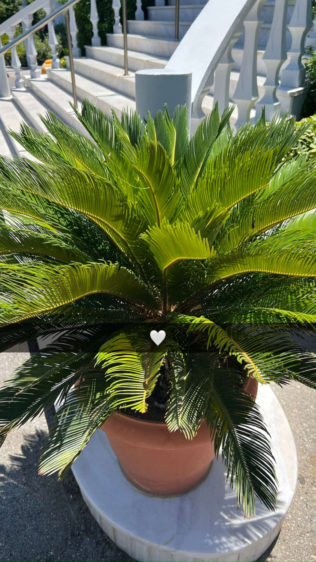 mathilda_bergs snapchat image archive image