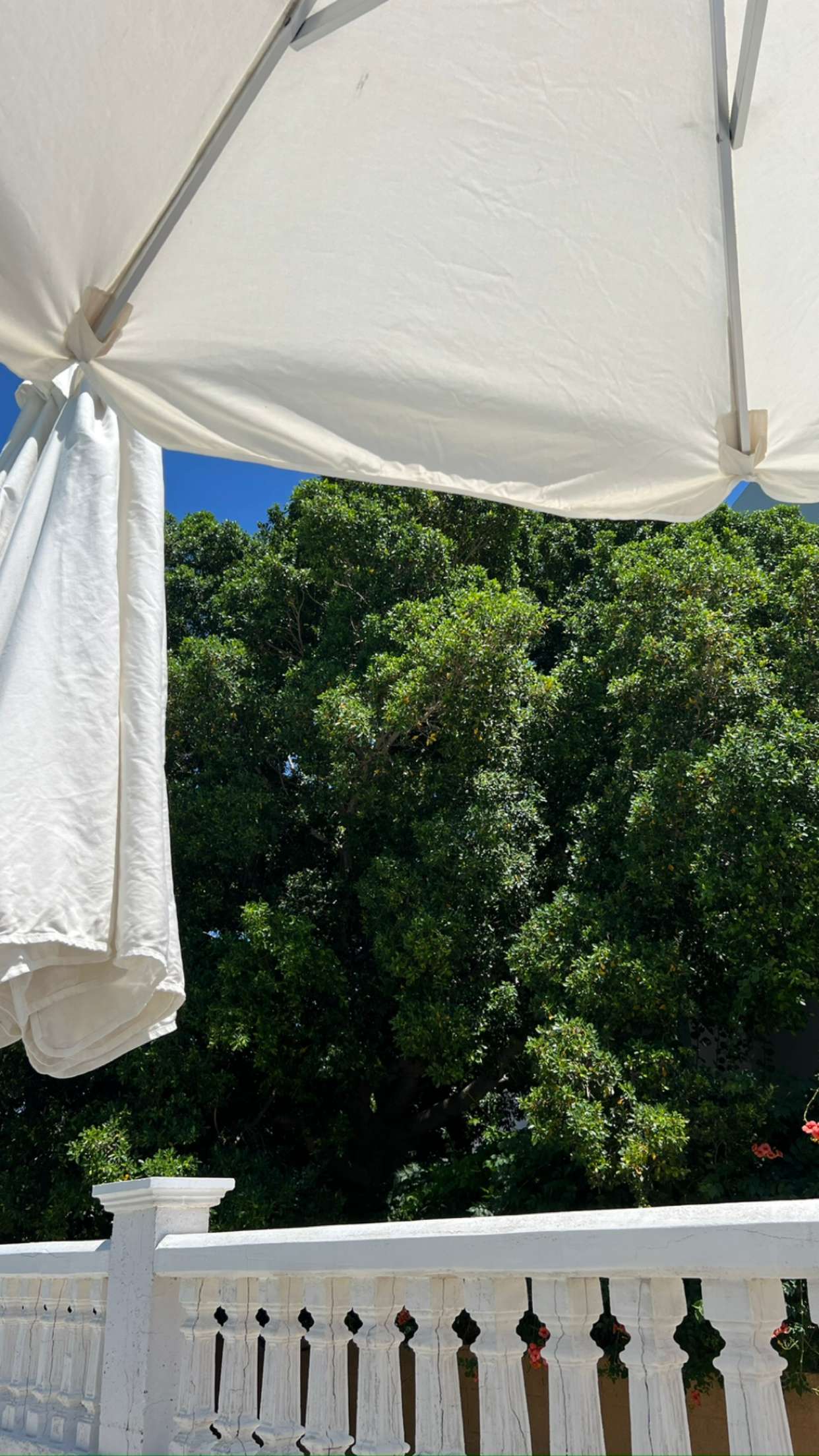 mathilda_bergs snapchat image archive image