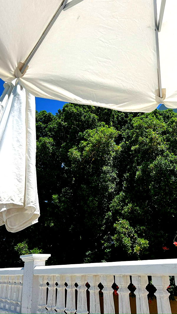 mathilda_bergs image ~ Altpins