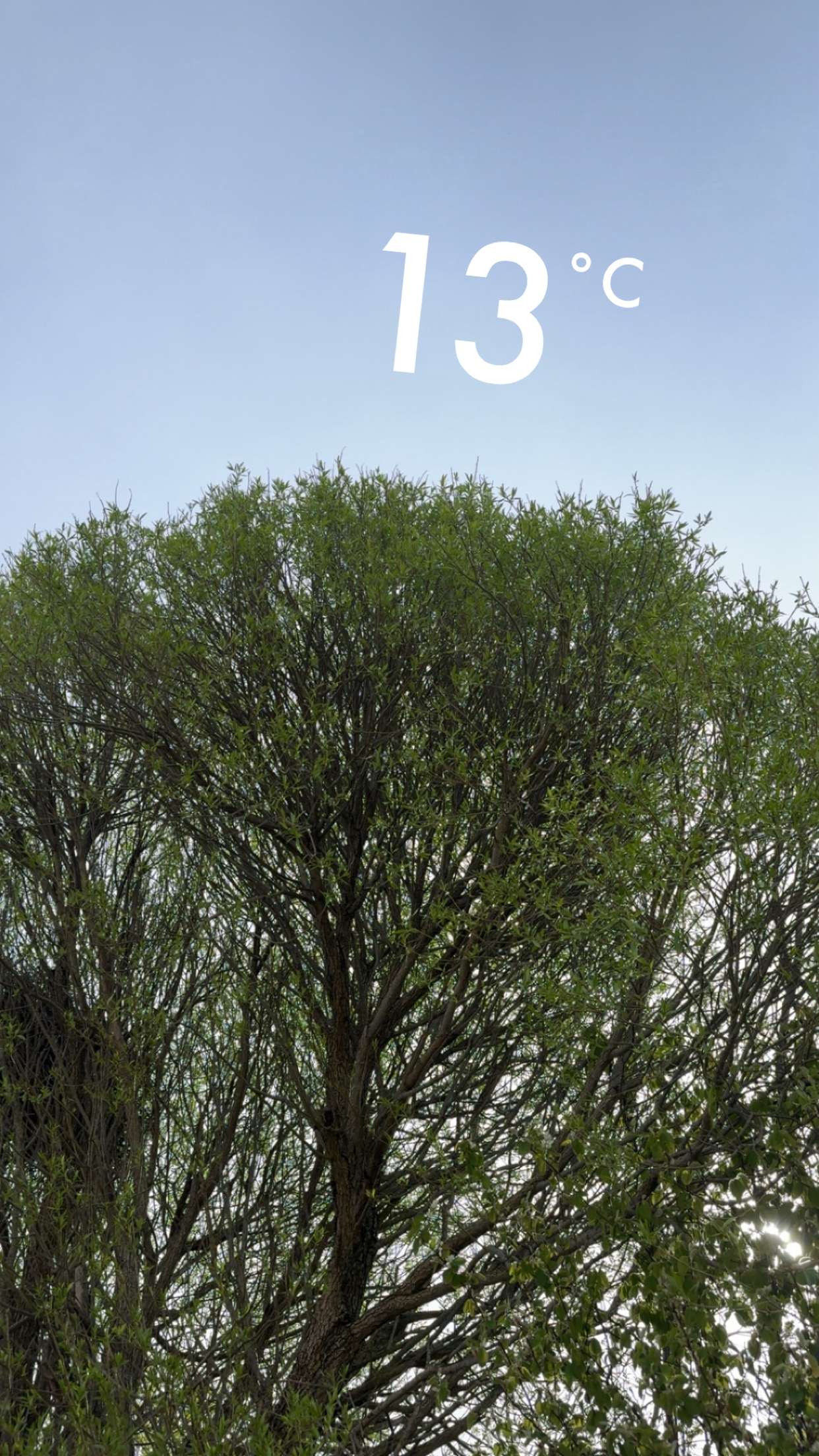 mathilda_bergs snapchat image archive image