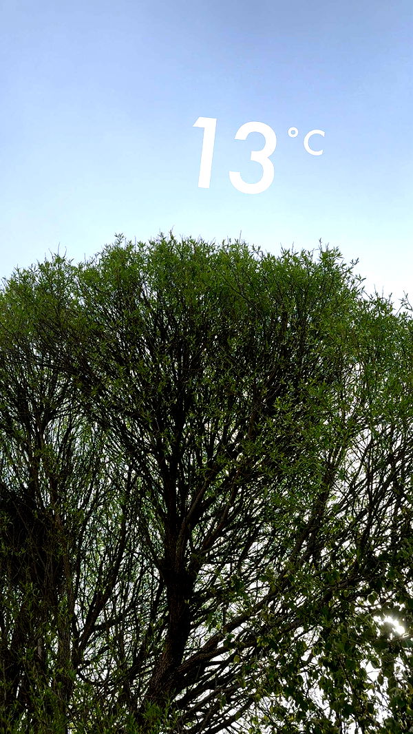 mathilda_bergs image ~ Altpins