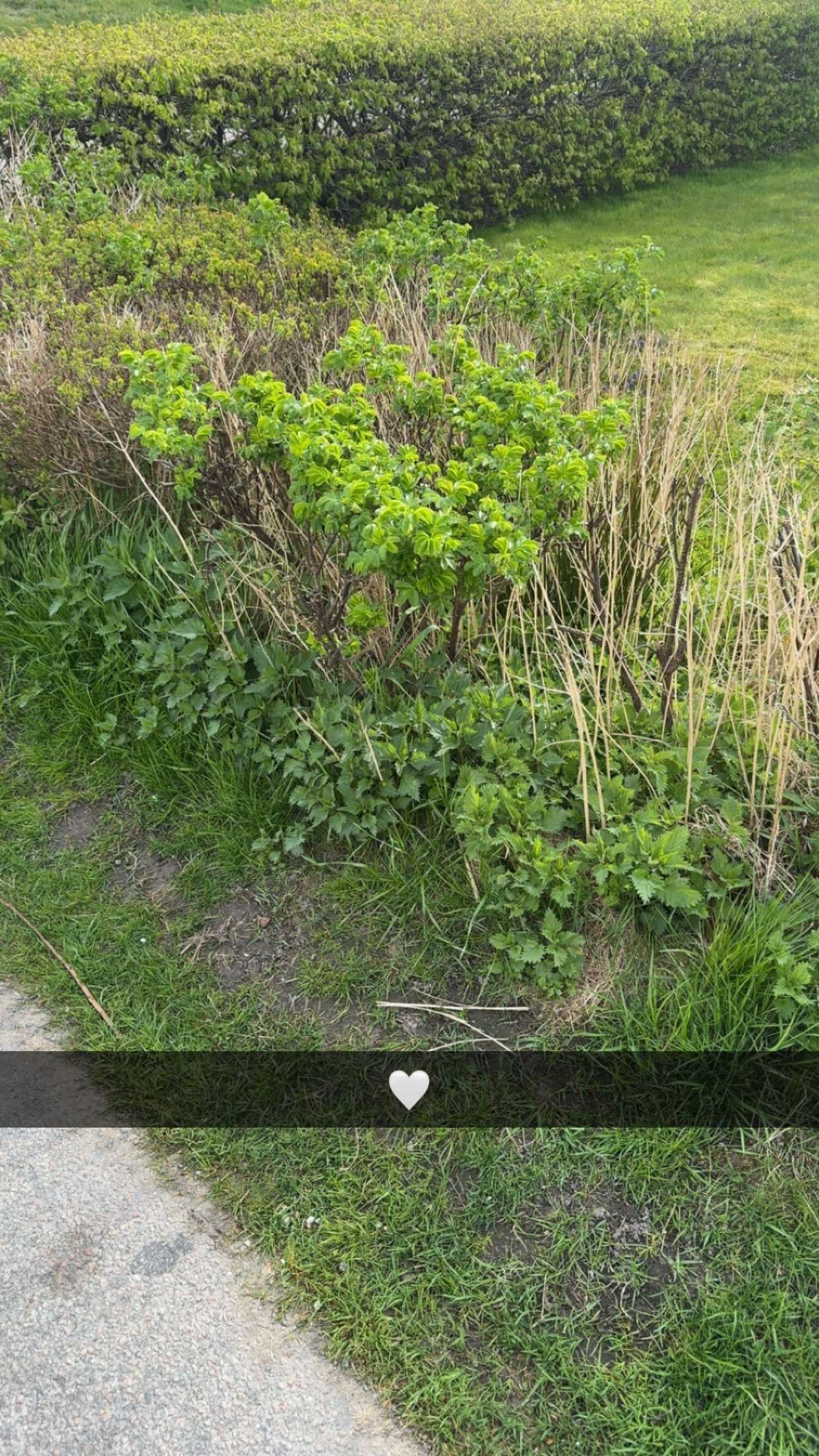 mathilda_bergs snapchat image archive image