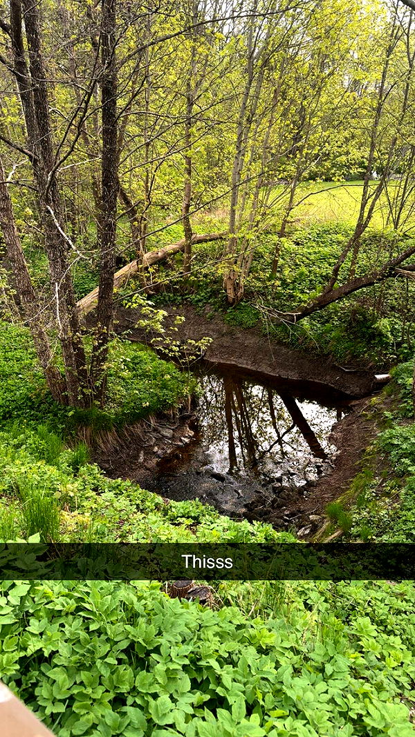 mathilda_bergs image ~ Altpins