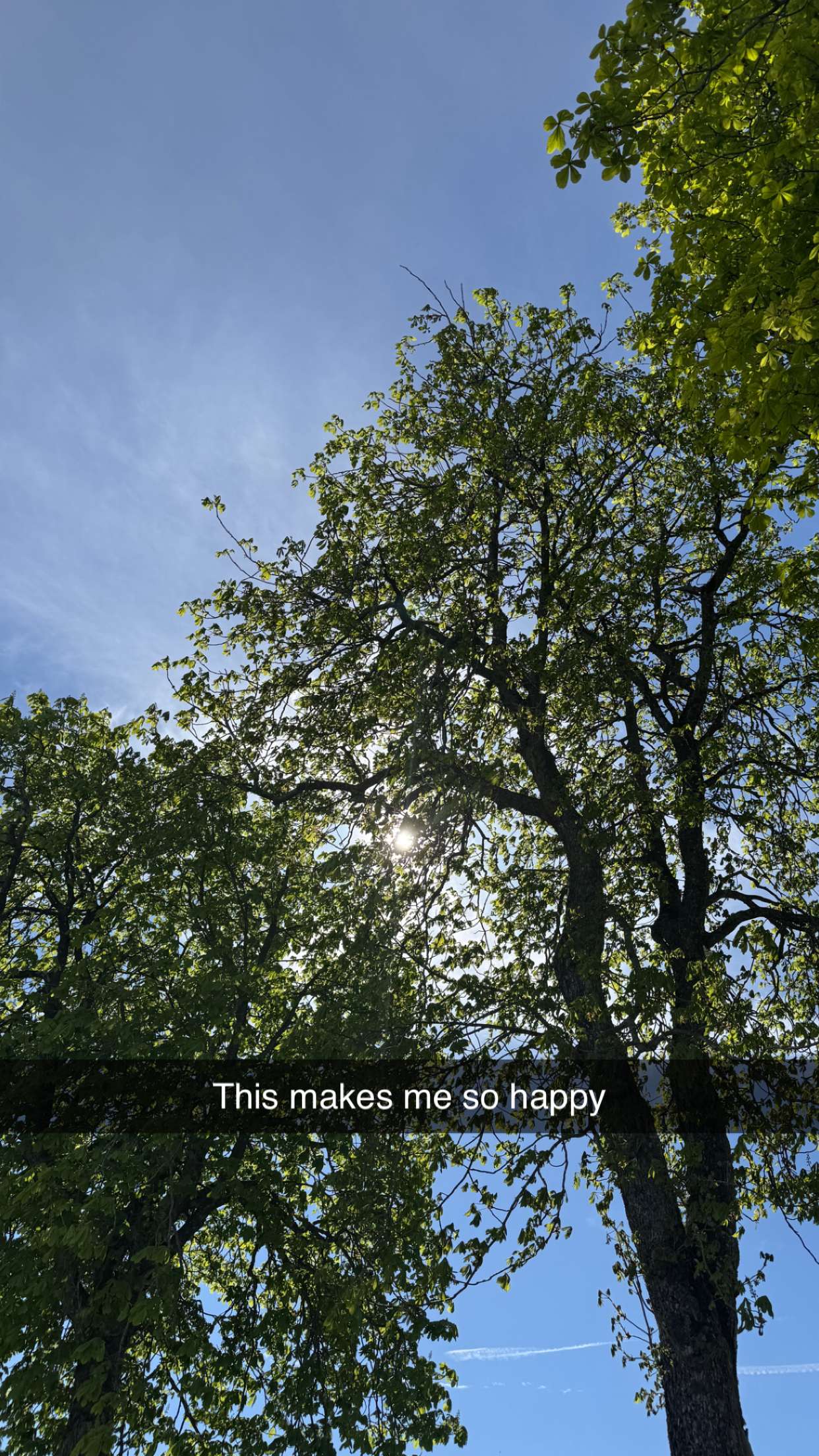 mathilda_bergs snapchat image archive image