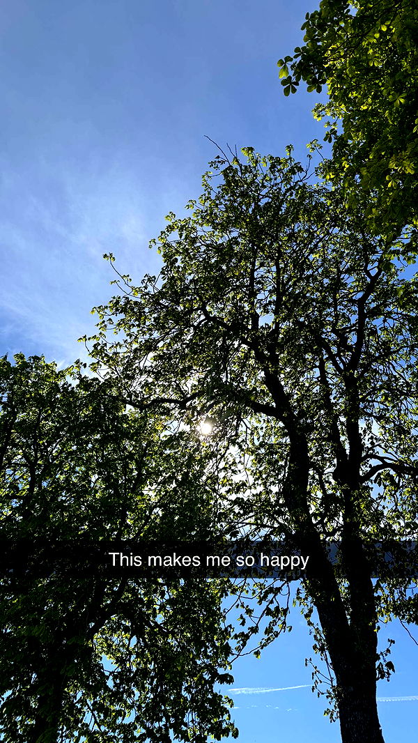 mathilda_bergs image ~ Altpins