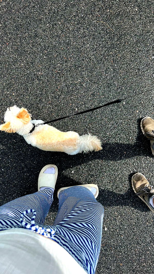 mathilda_bergs image ~ Altpins