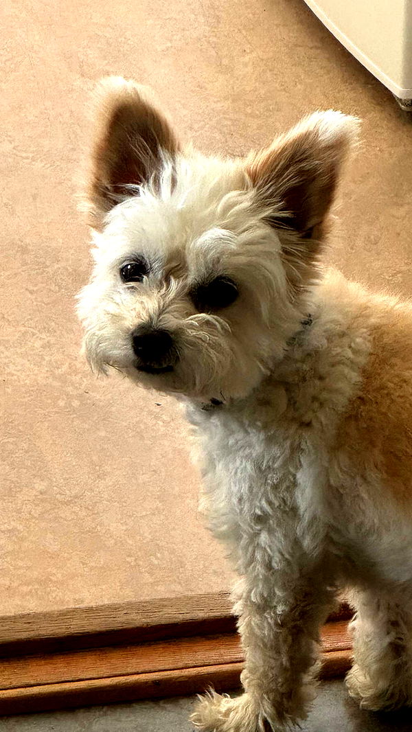 mathilda_bergs image ~ Altpins