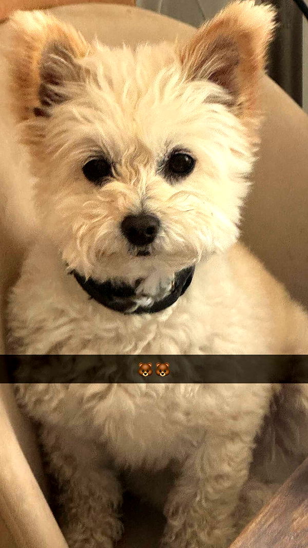 mathilda_bergs image ~ Altpins