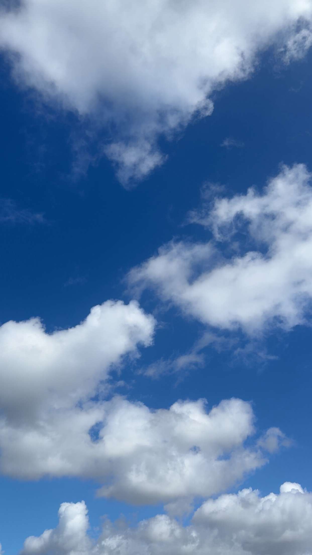 mathilda_bergs snapchat image archive image