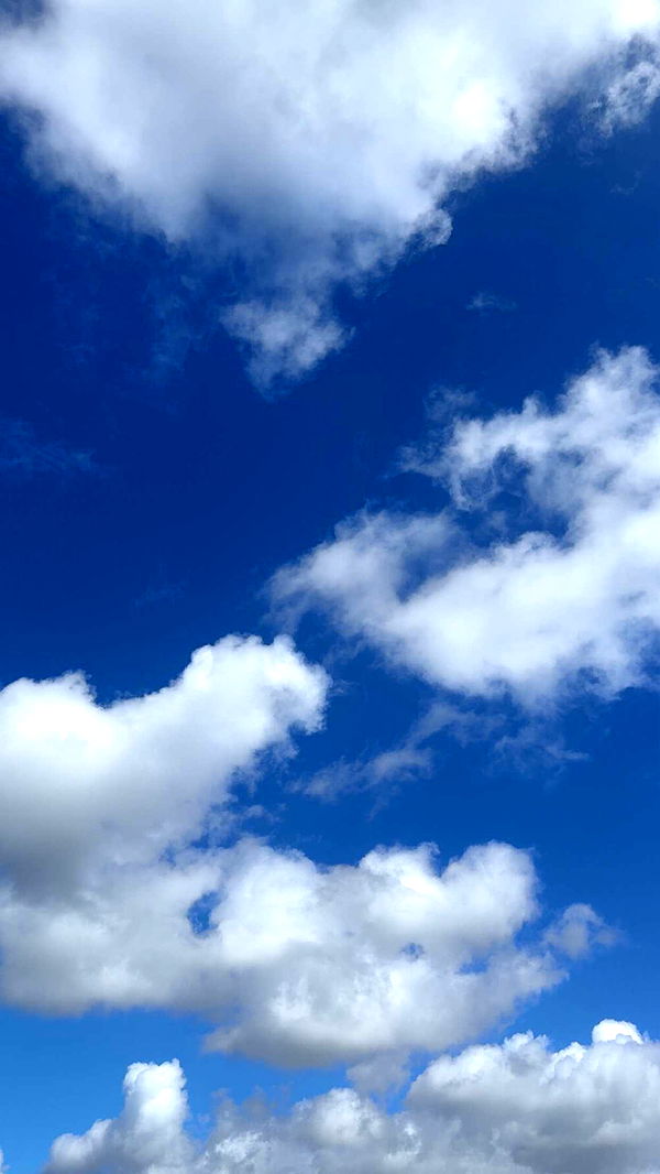 mathilda_bergs image ~ Altpins