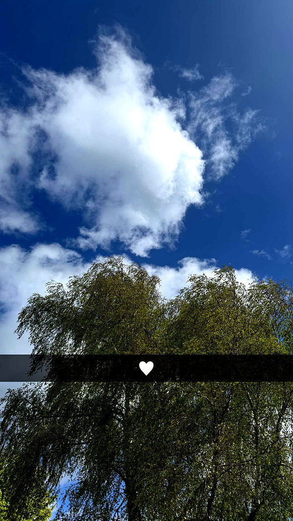 mathilda_bergs image ~ Altpins