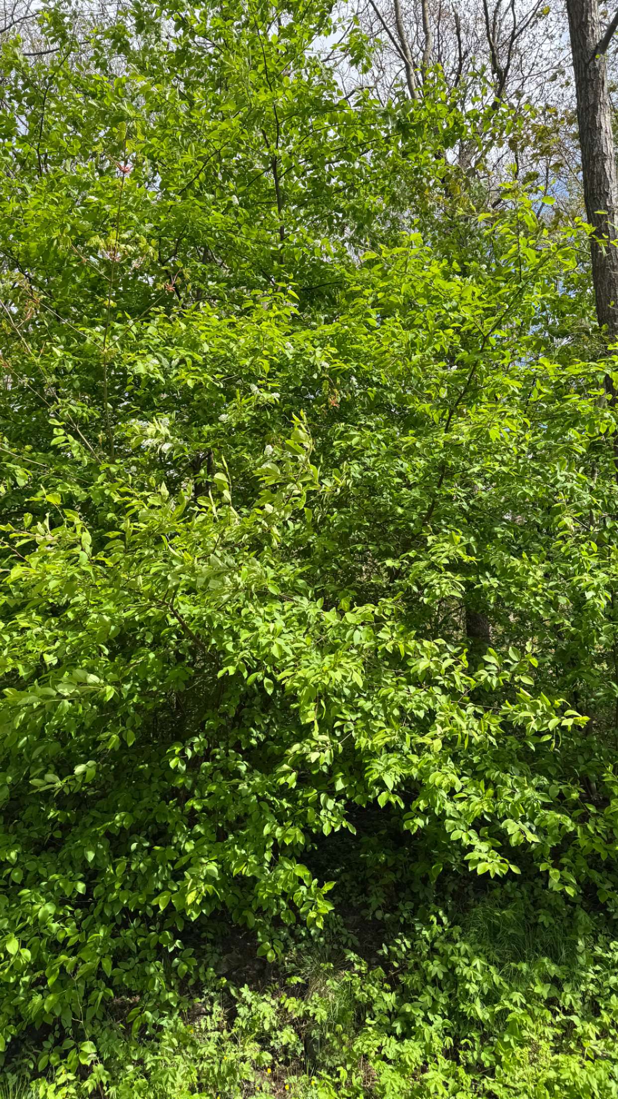 mathilda_bergs snapchat image archive image