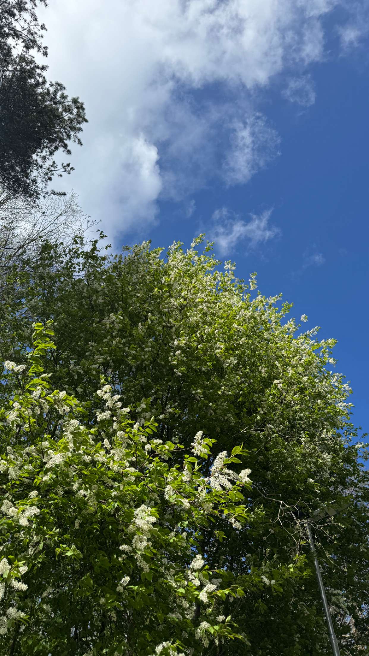 mathilda_bergs snapchat image archive image