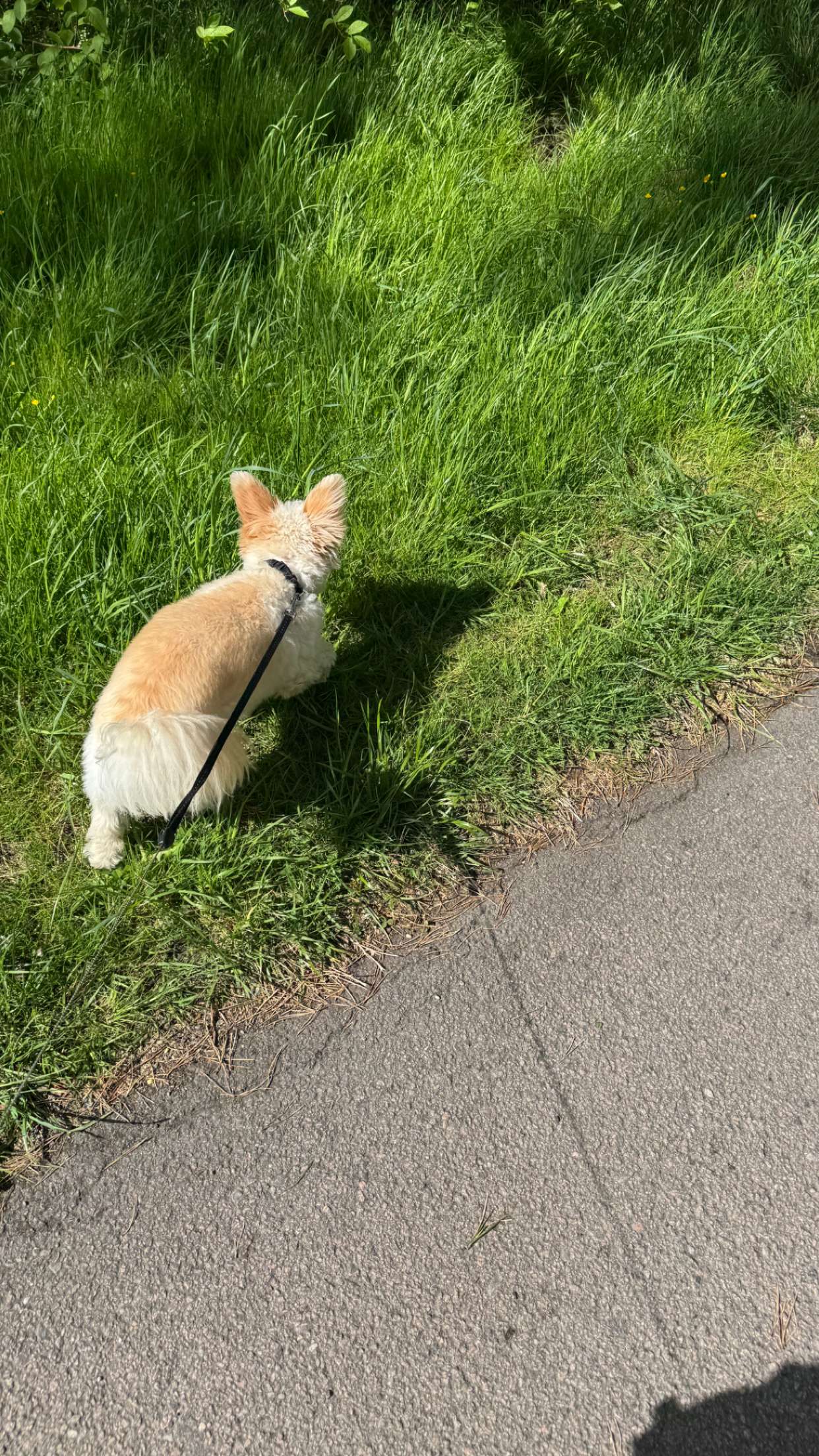 mathilda_bergs snapchat image archive image