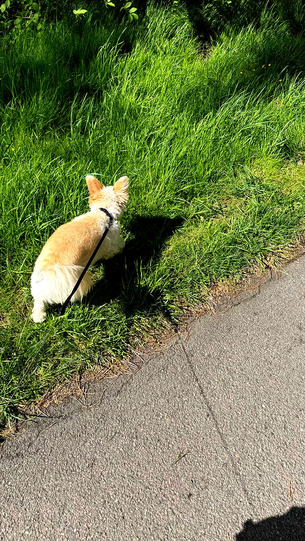 mathilda_bergs image ~ Altpins