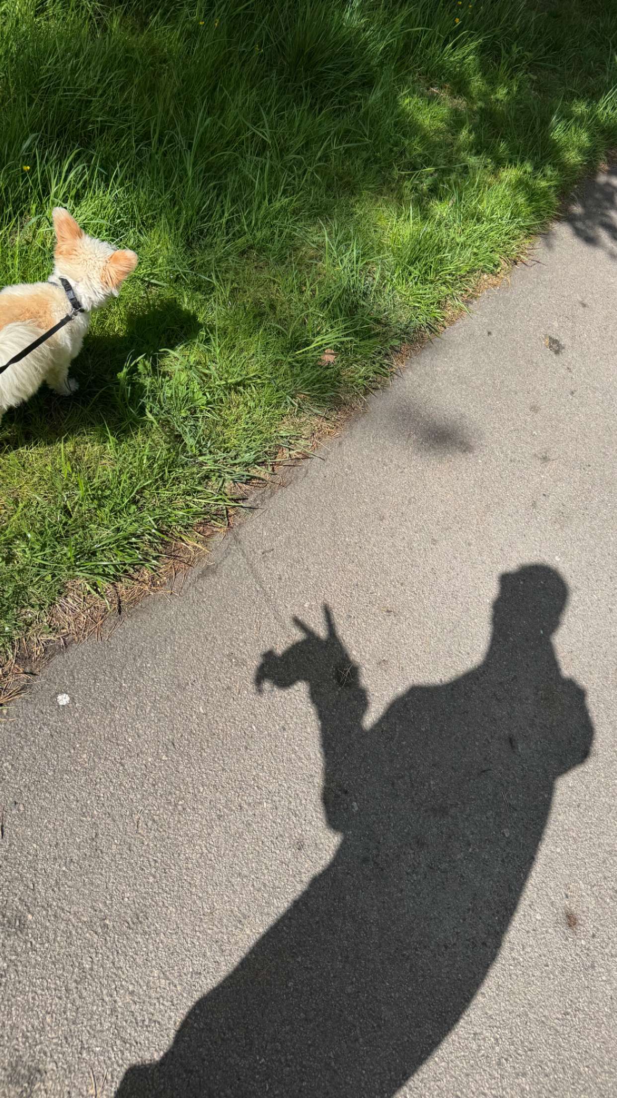 mathilda_bergs snapchat image archive image