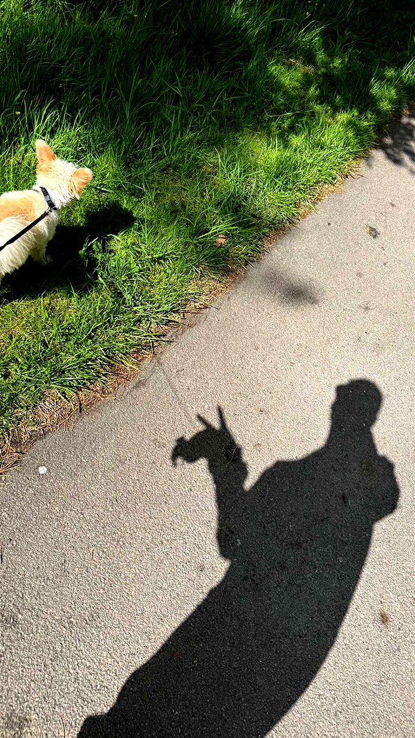 mathilda_bergs image ~ Altpins