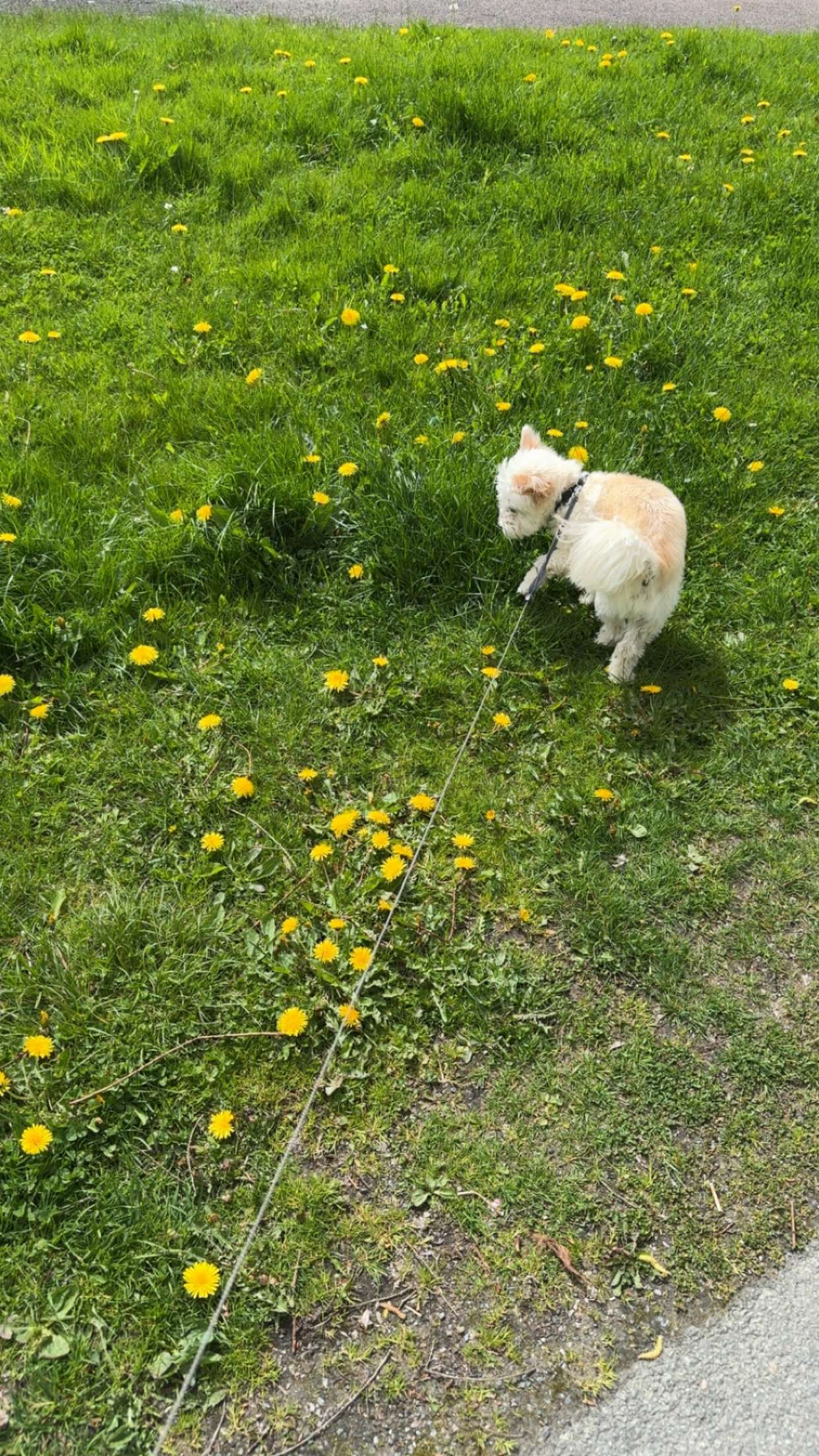 mathilda_bergs snapchat image archive image