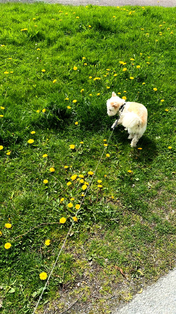 mathilda_bergs image ~ Altpins