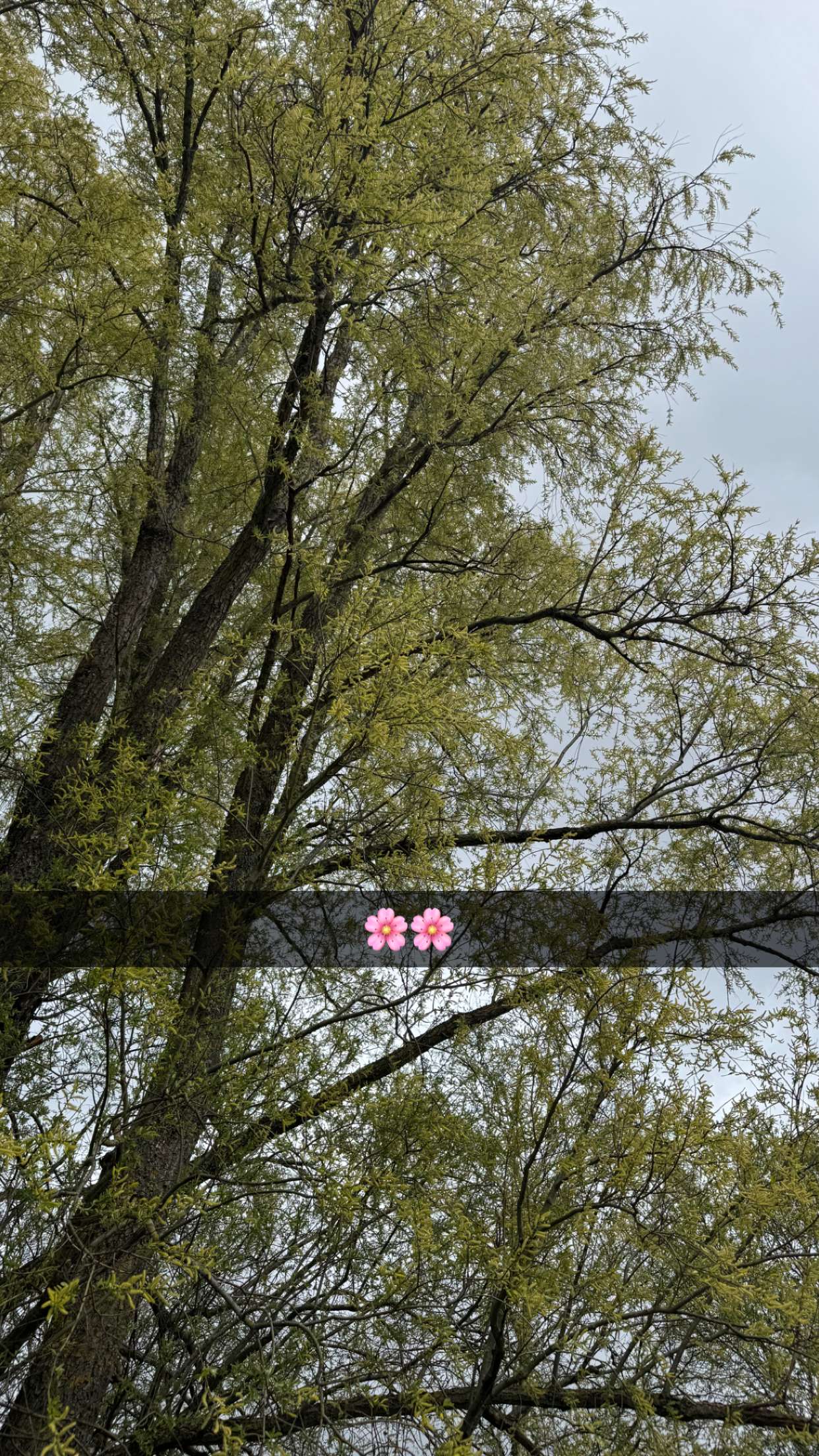 mathilda_bergs snapchat image archive image