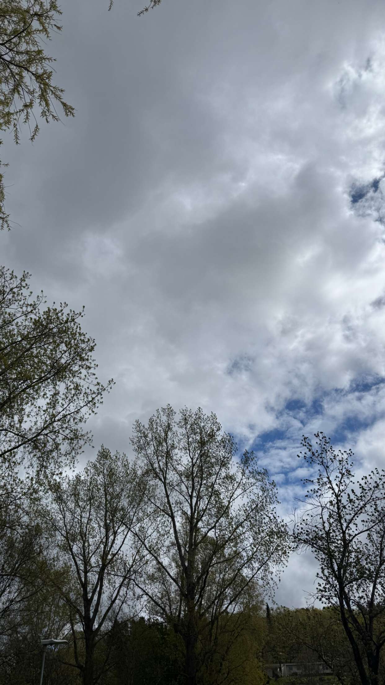 mathilda_bergs snapchat image archive image