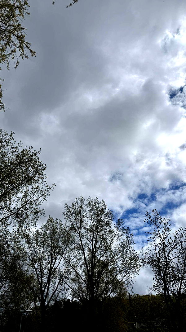 mathilda_bergs image ~ Altpins