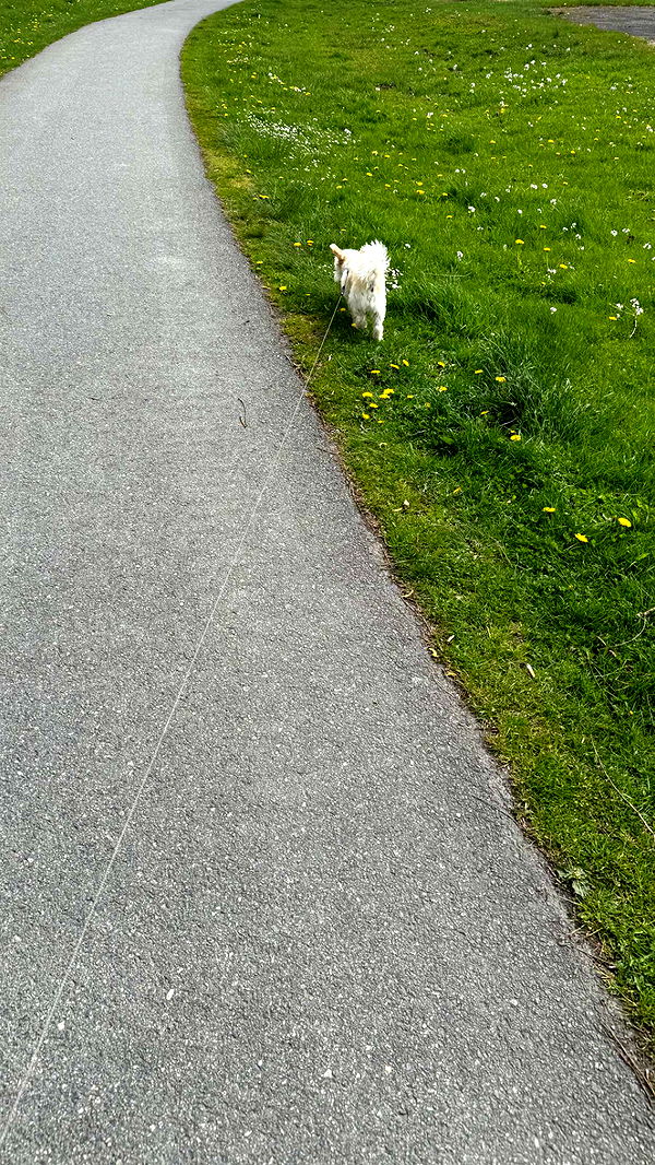 mathilda_bergs image ~ Altpins