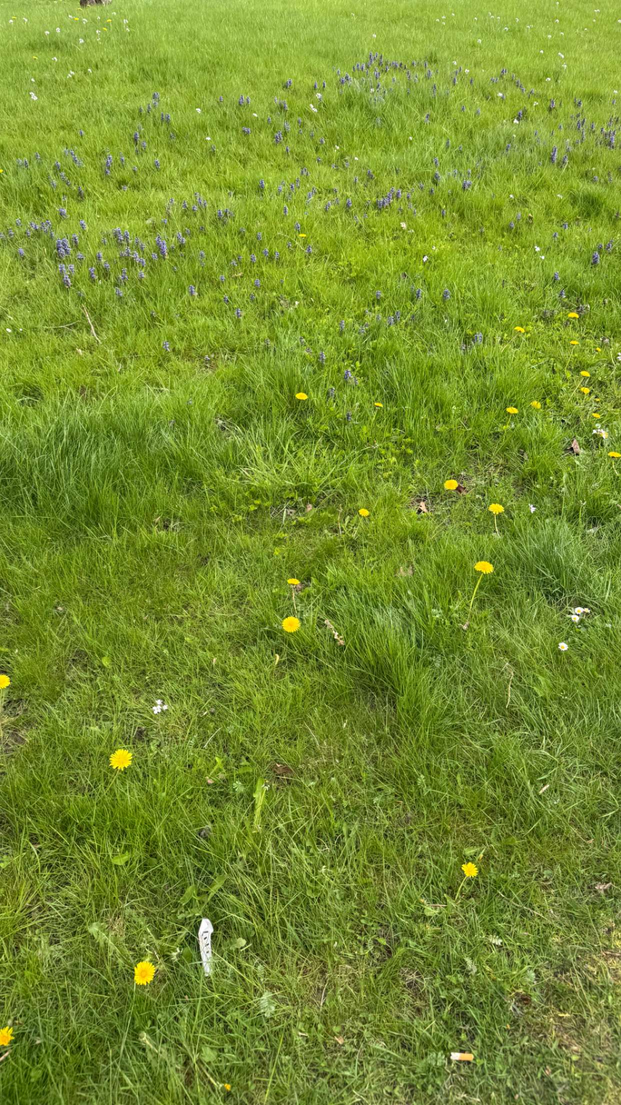 mathilda_bergs snapchat image archive image