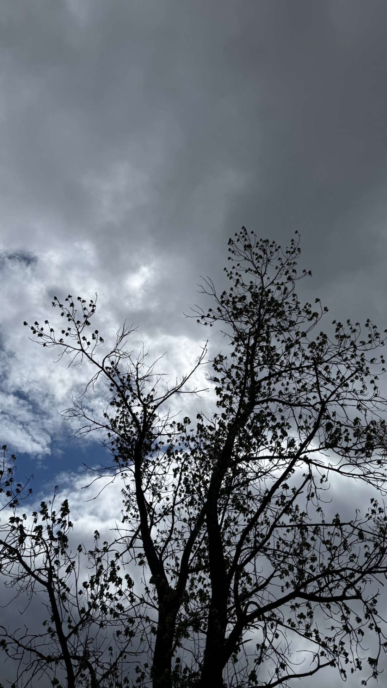 mathilda_bergs snapchat image archive image