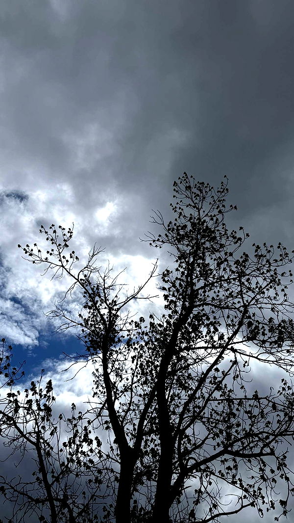 mathilda_bergs image ~ Altpins