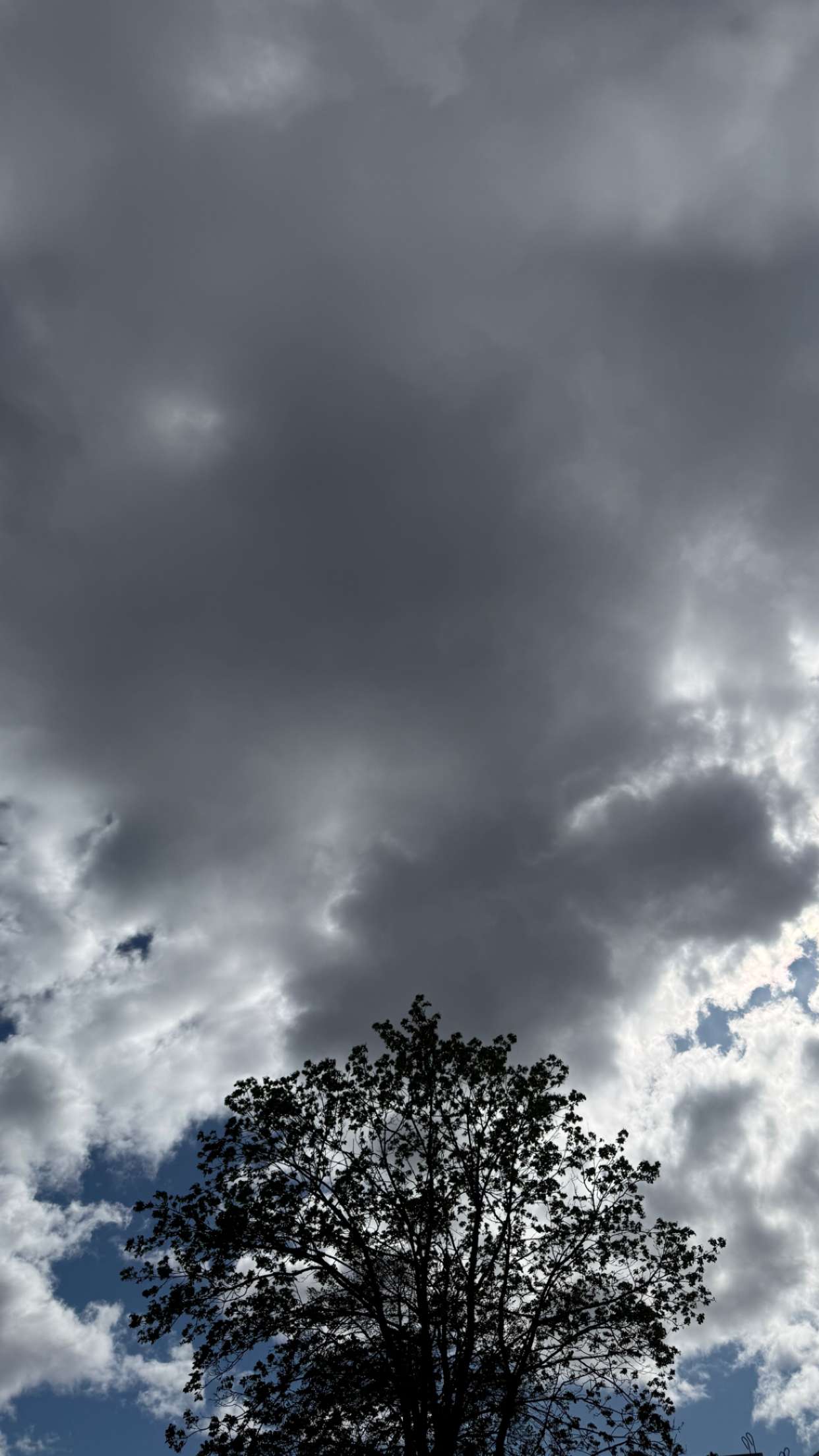 mathilda_bergs snapchat image archive image