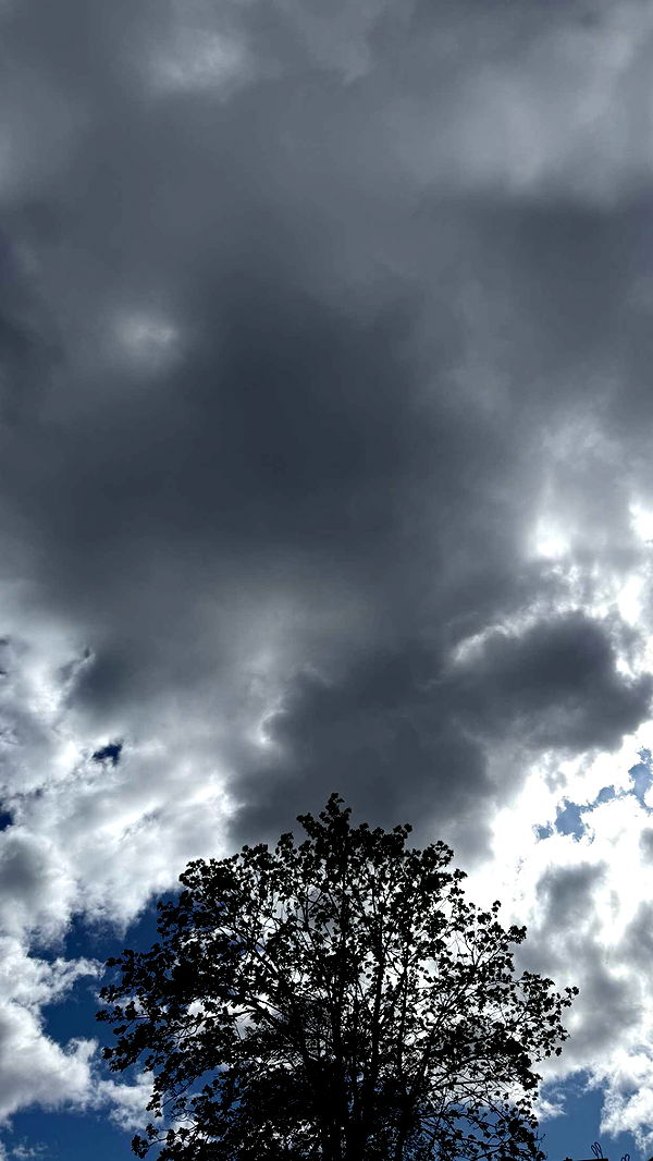 mathilda_bergs image ~ Altpins