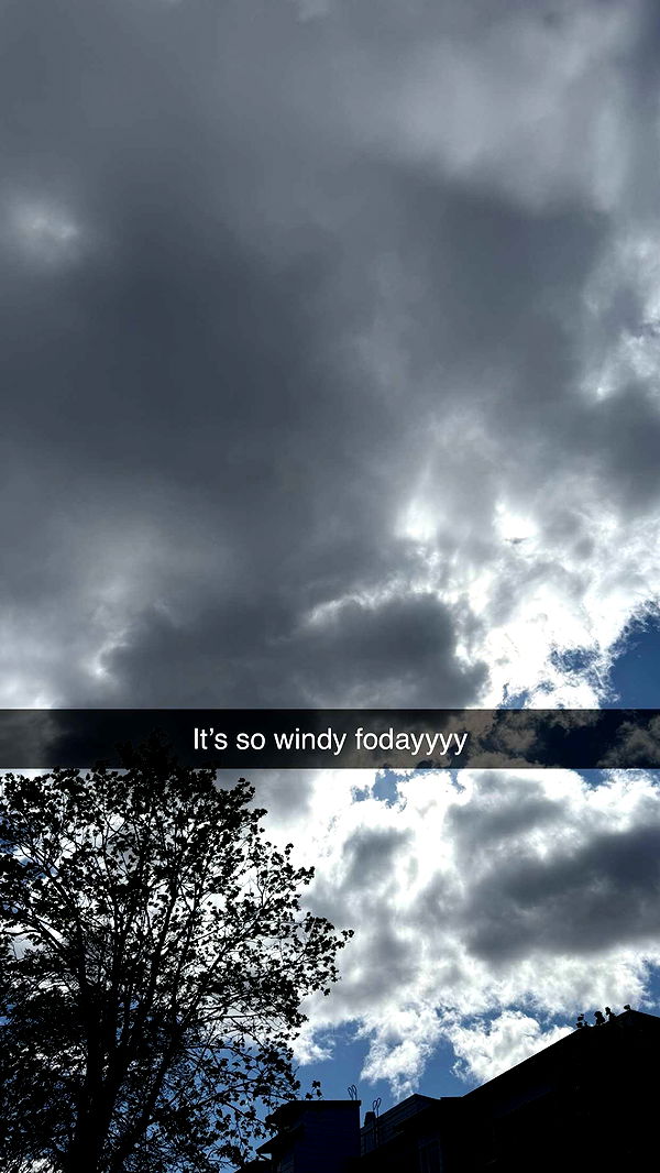 mathilda_bergs image ~ Altpins