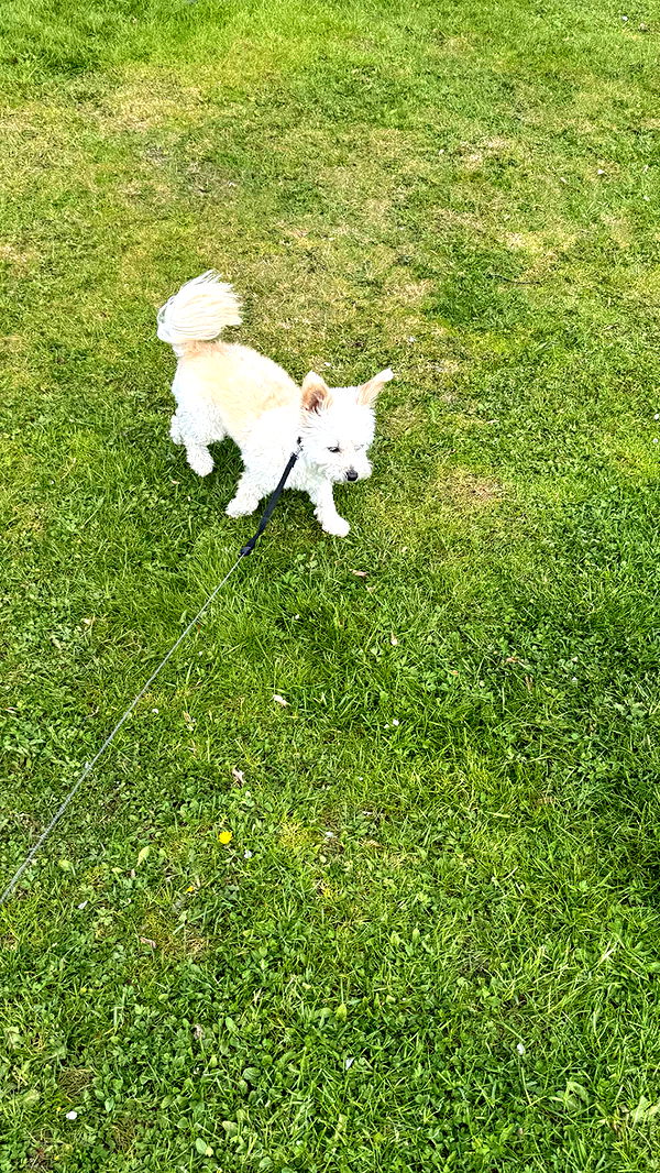 mathilda_bergs image ~ Altpins