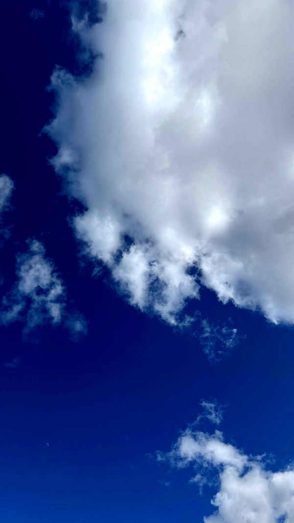 mathilda_bergs image ~ Altpins