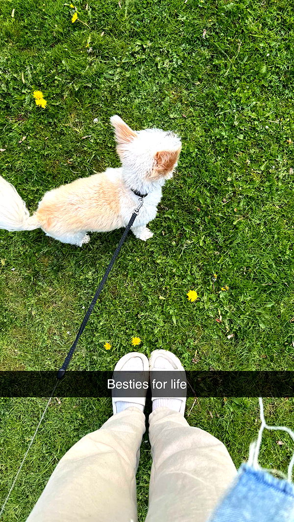 mathilda_bergs image ~ Altpins