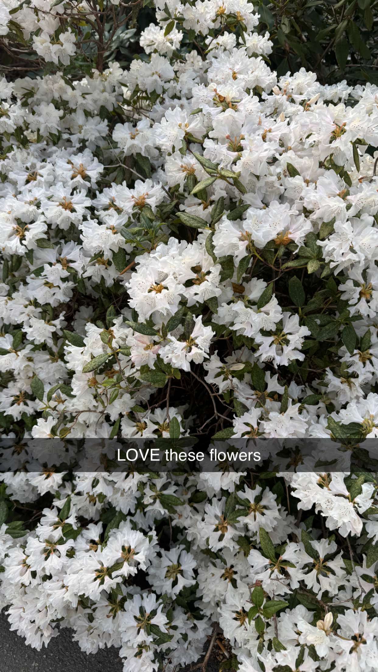 mathilda_bergs snapchat image archive image