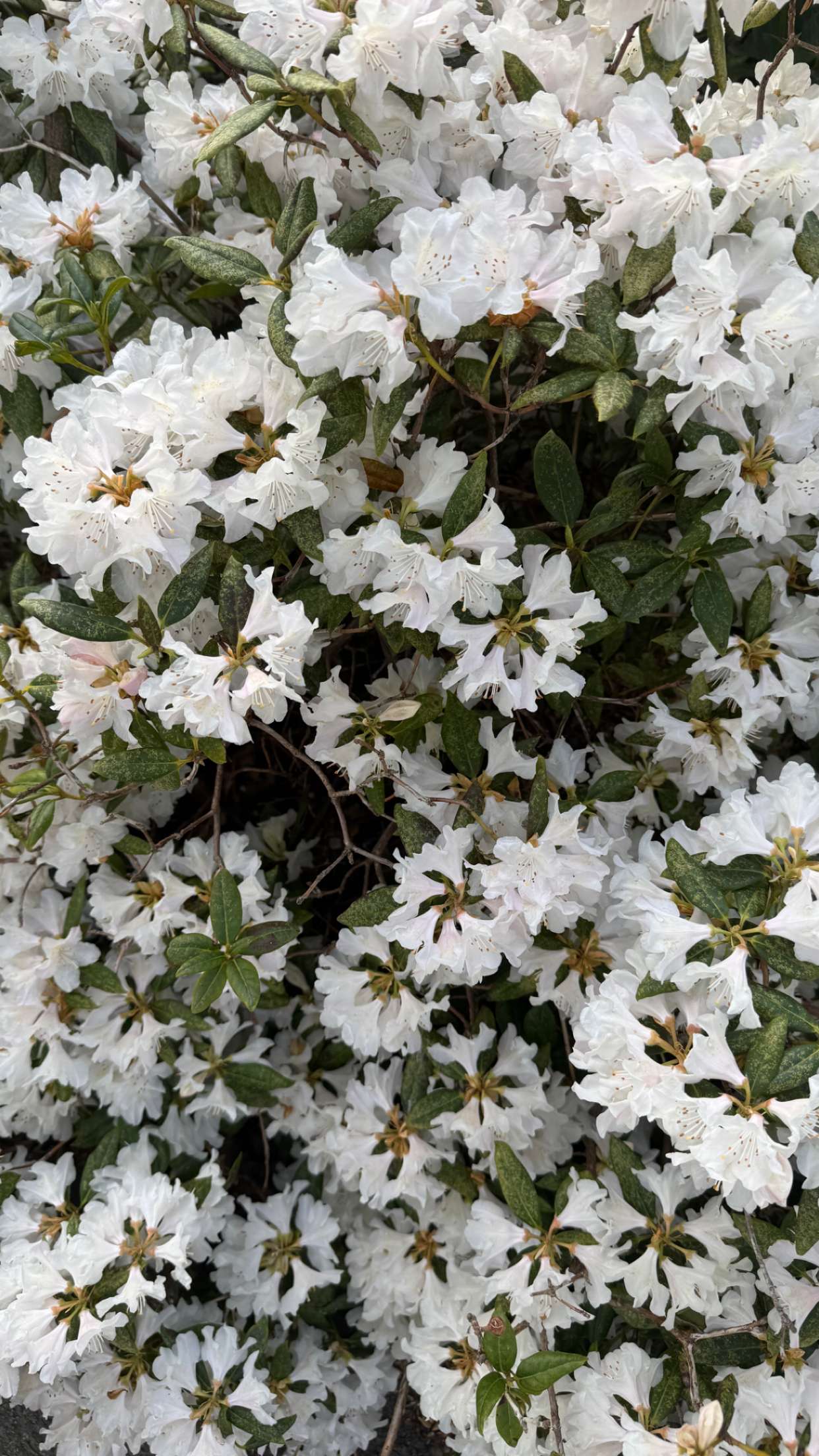 mathilda_bergs snapchat image archive image